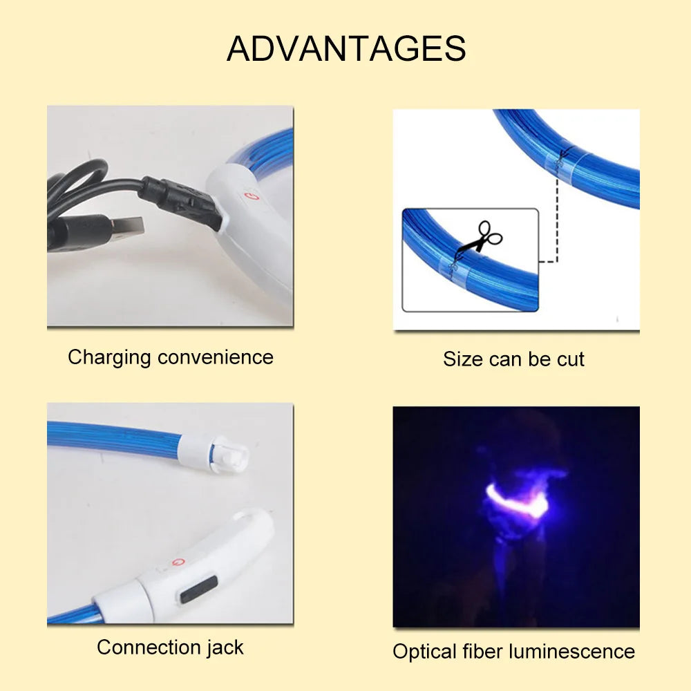 USB Rechargeable LED Collar