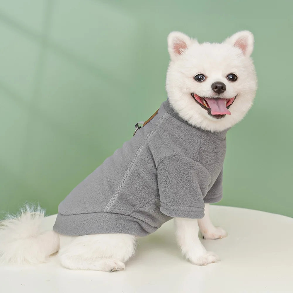 Classic Solid Hoodie