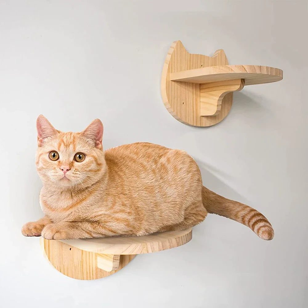 Modular Cat Wall Furniture