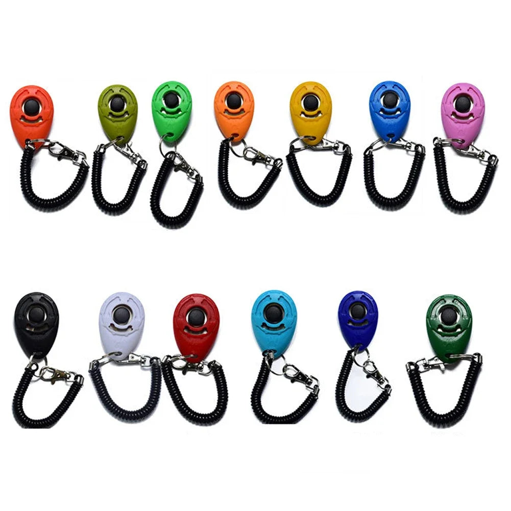 Keyring Training Clicker