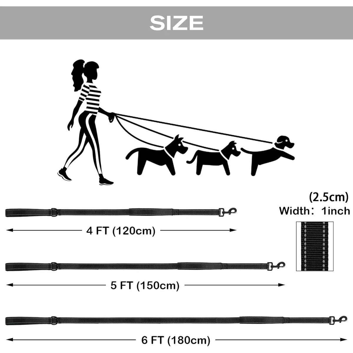 Double-Handle Reflective Lead