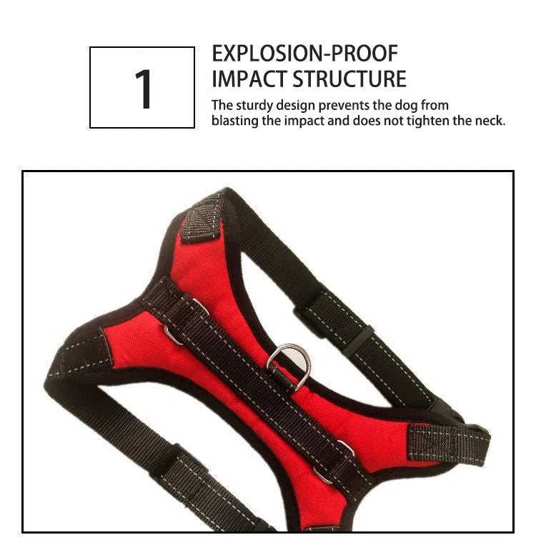 Quick-Release Vest Harness