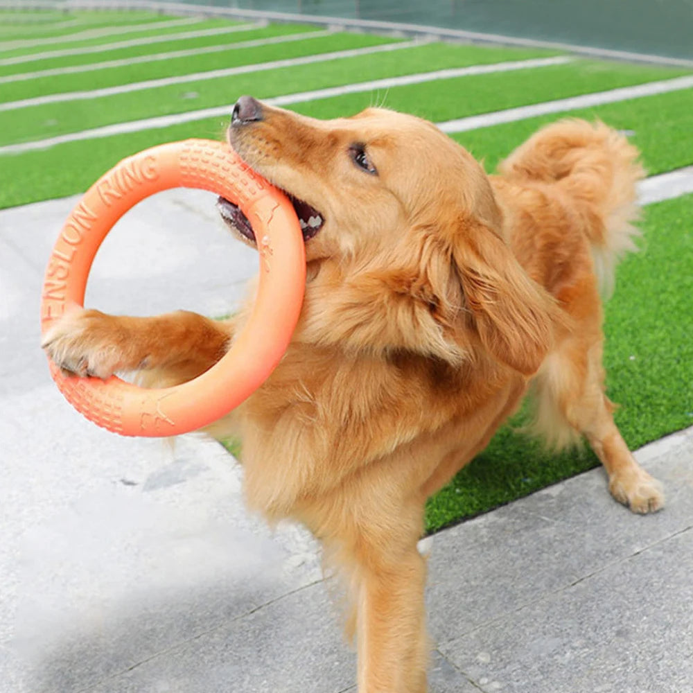 EVA Tug & Fetch Training Ring