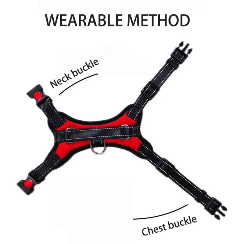 Quick-Release Vest Harness