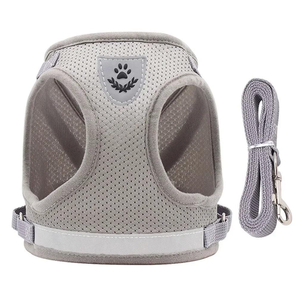 Cat Mesh Harness & Lead Set