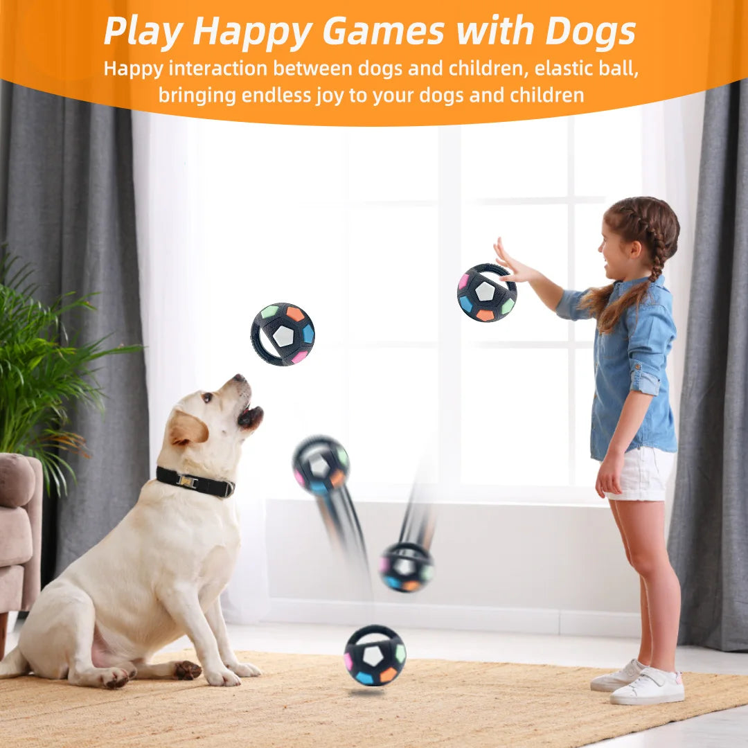 Football Squeaky Fetch Ball