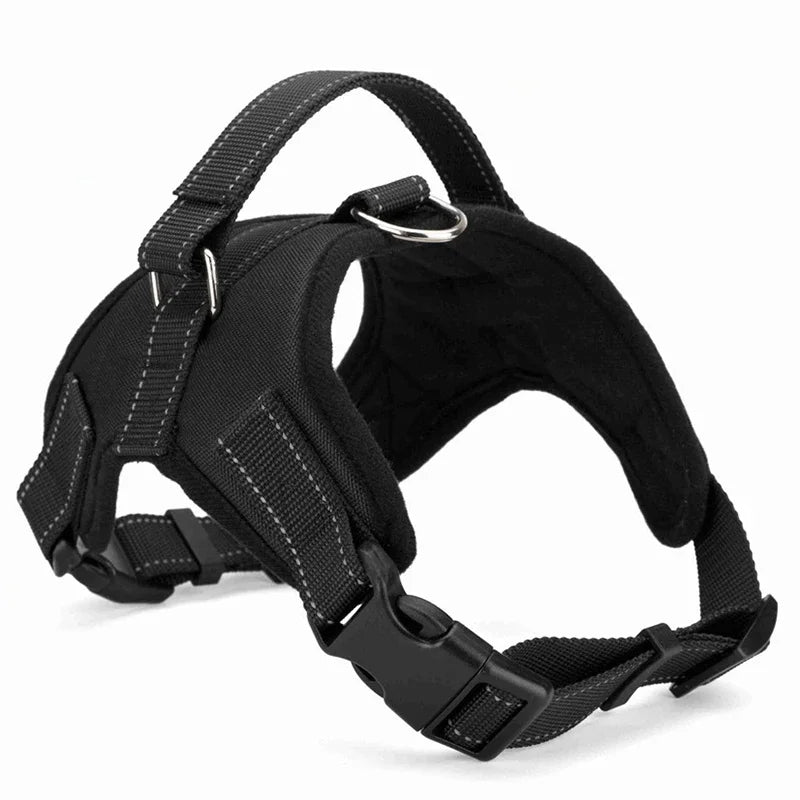Quick-Release Vest Harness