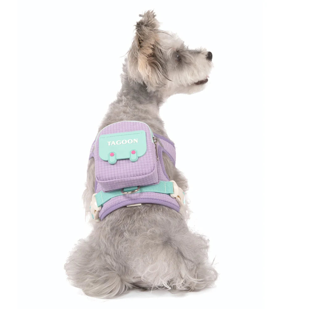 Mini Backpack Harness & Lead