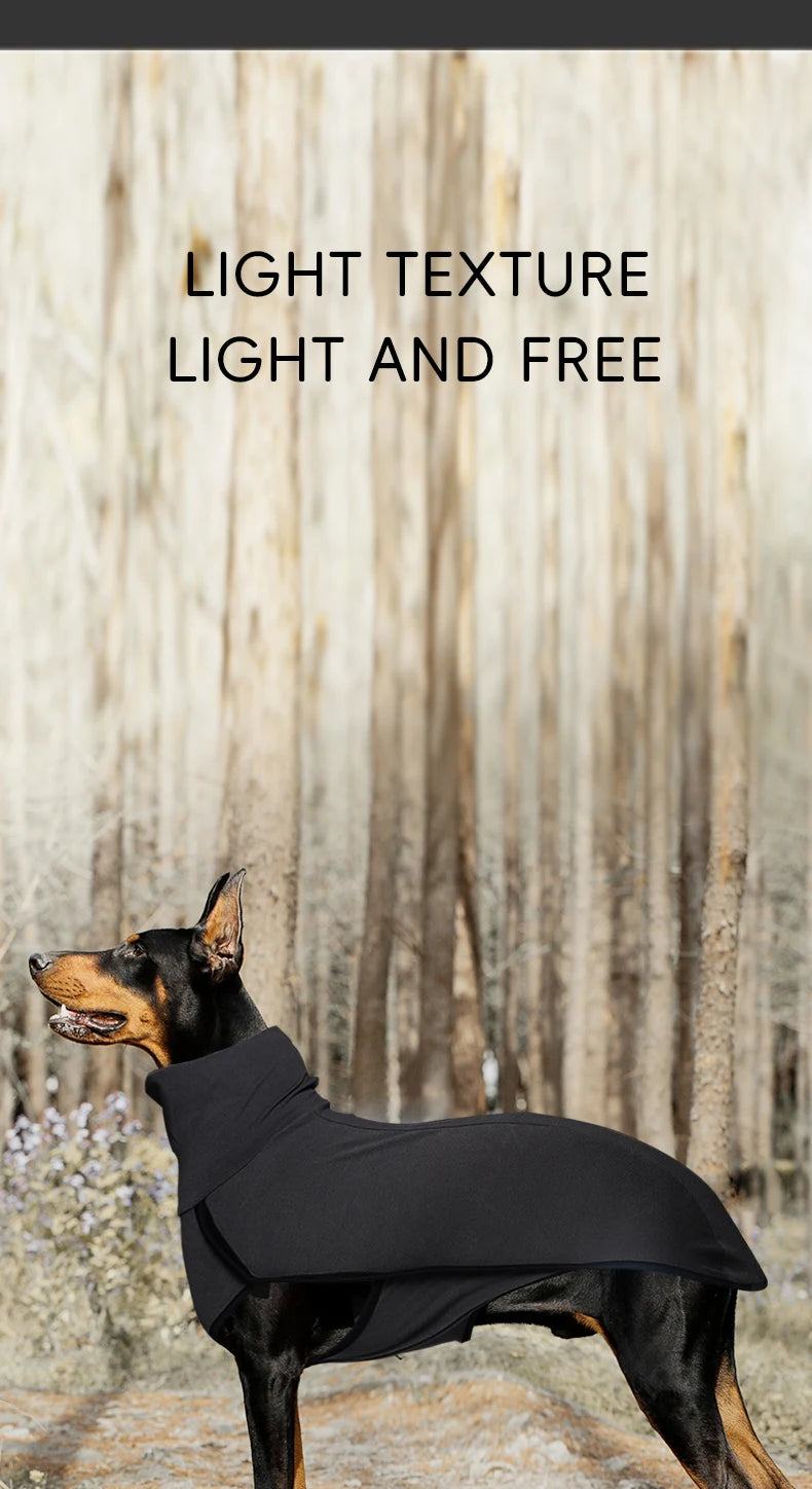 Colour-Block Turtleneck Sweatshirt