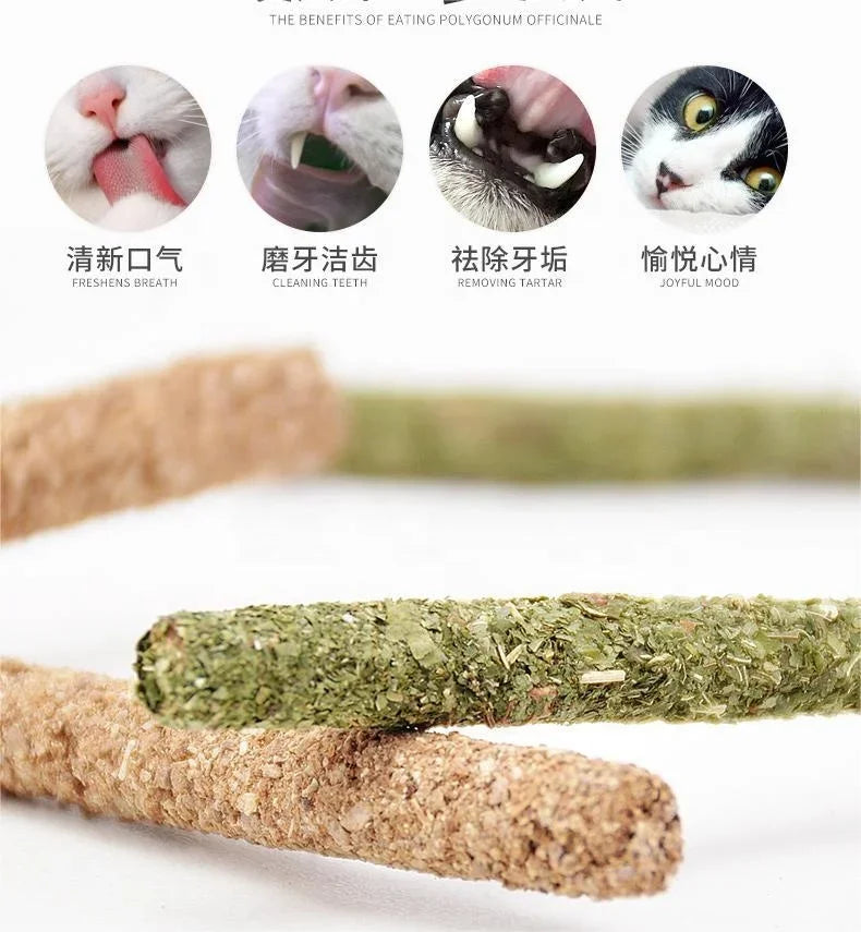 Silvervine Chew Sticks (Set of 6)