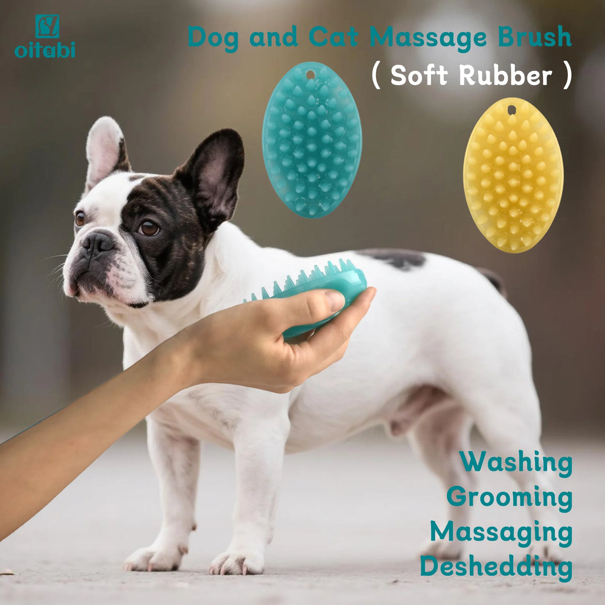 Soft Rubber Wet & Dry Brush