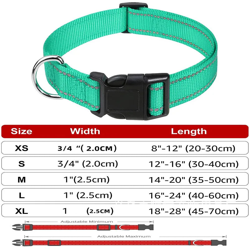 Decorative Small Dog Collar