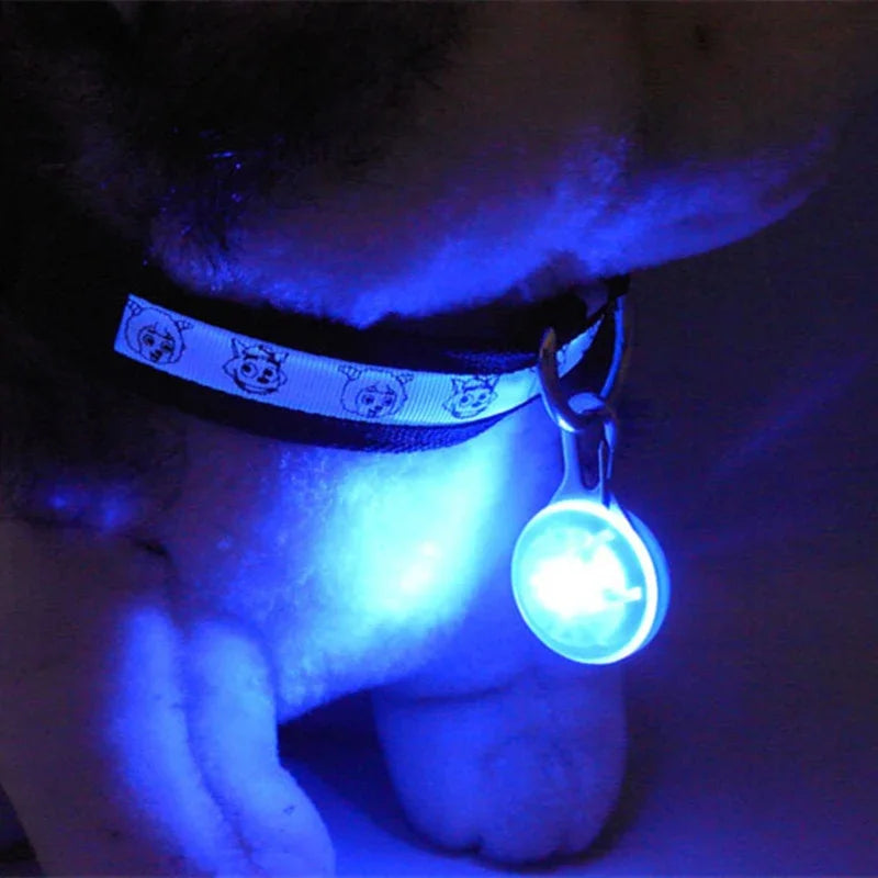 LED Glow Pendant Collar