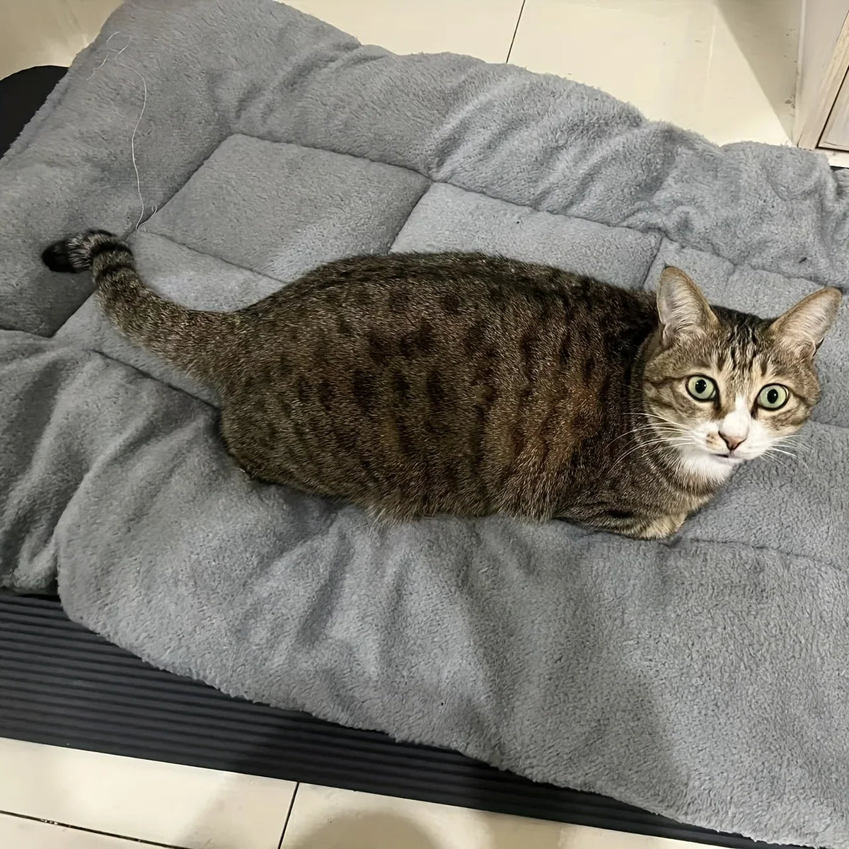 Extra-Large Plush Pet Mat