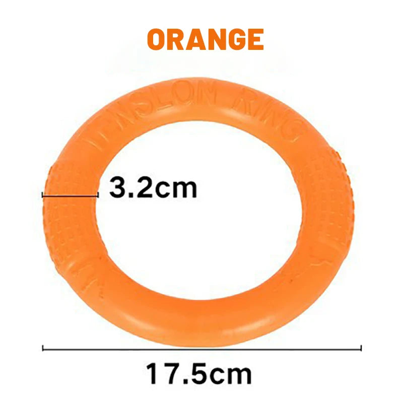 EVA Tug & Fetch Training Ring