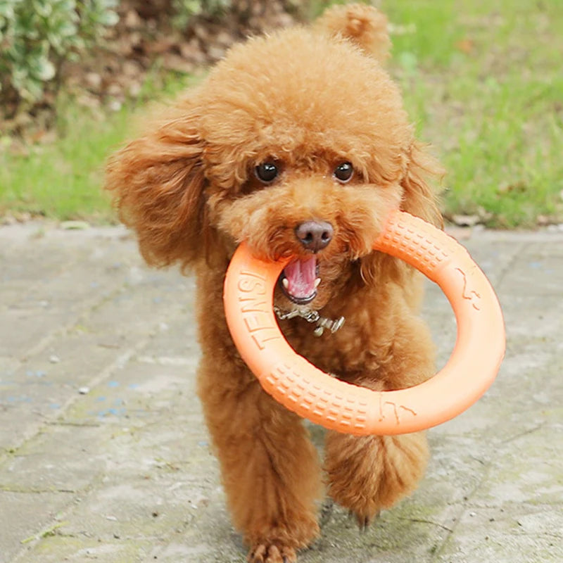 EVA Tug & Fetch Training Ring