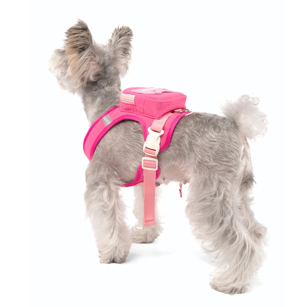 Mini Backpack Harness & Lead