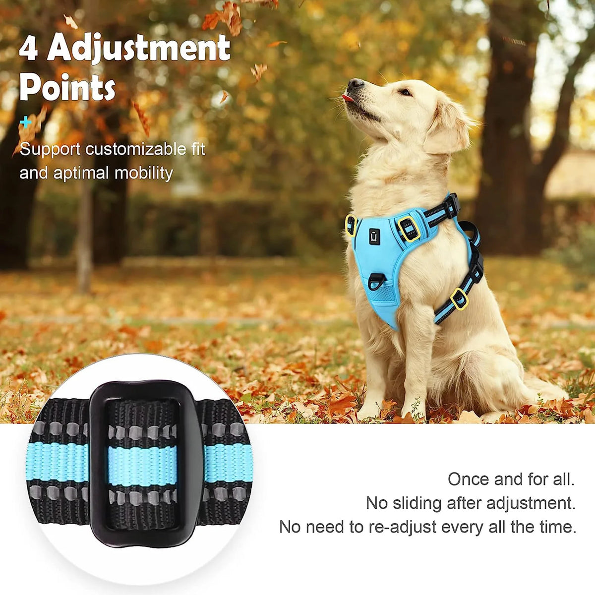 Soft Padded Harness with Handle