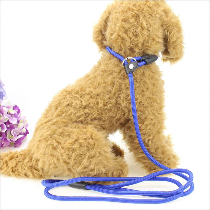 Everyday Nylon Lead (130cm)