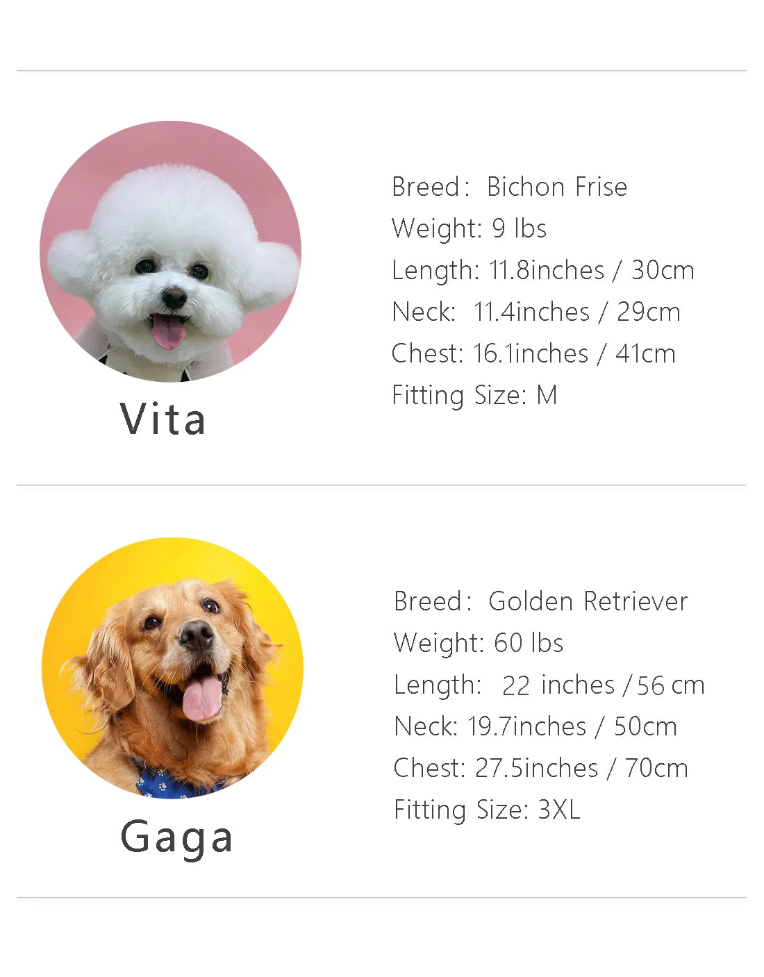 Reversible Hooded Dog Raincoat