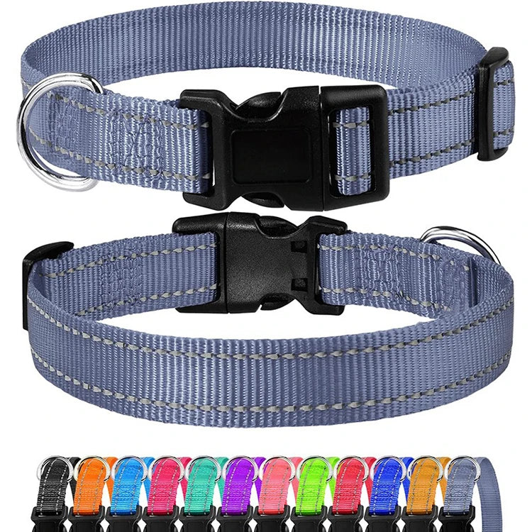 Decorative Small Dog Collar