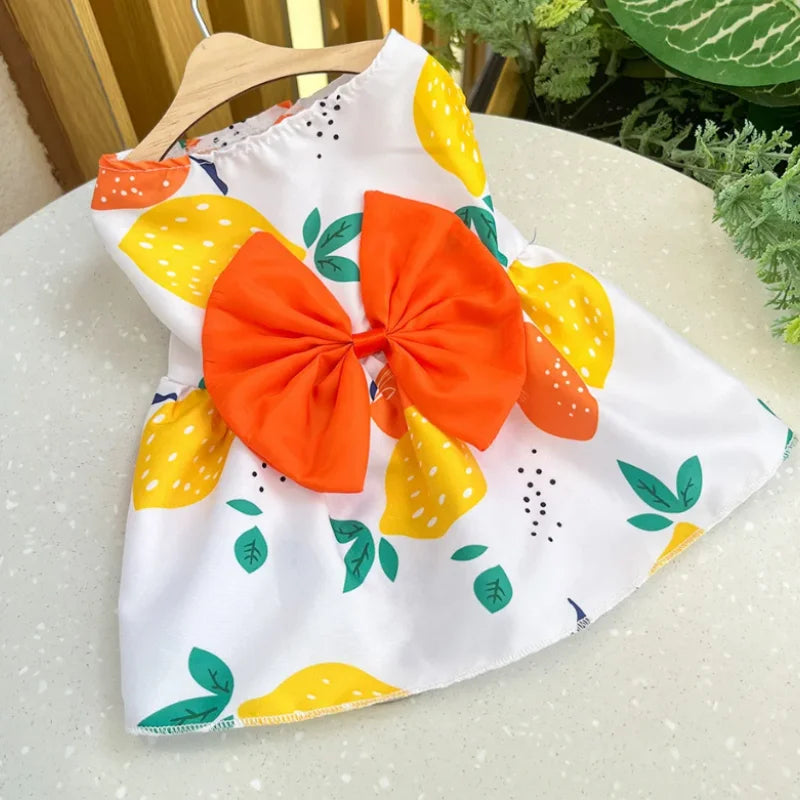 Bow & Lace Summer Dress