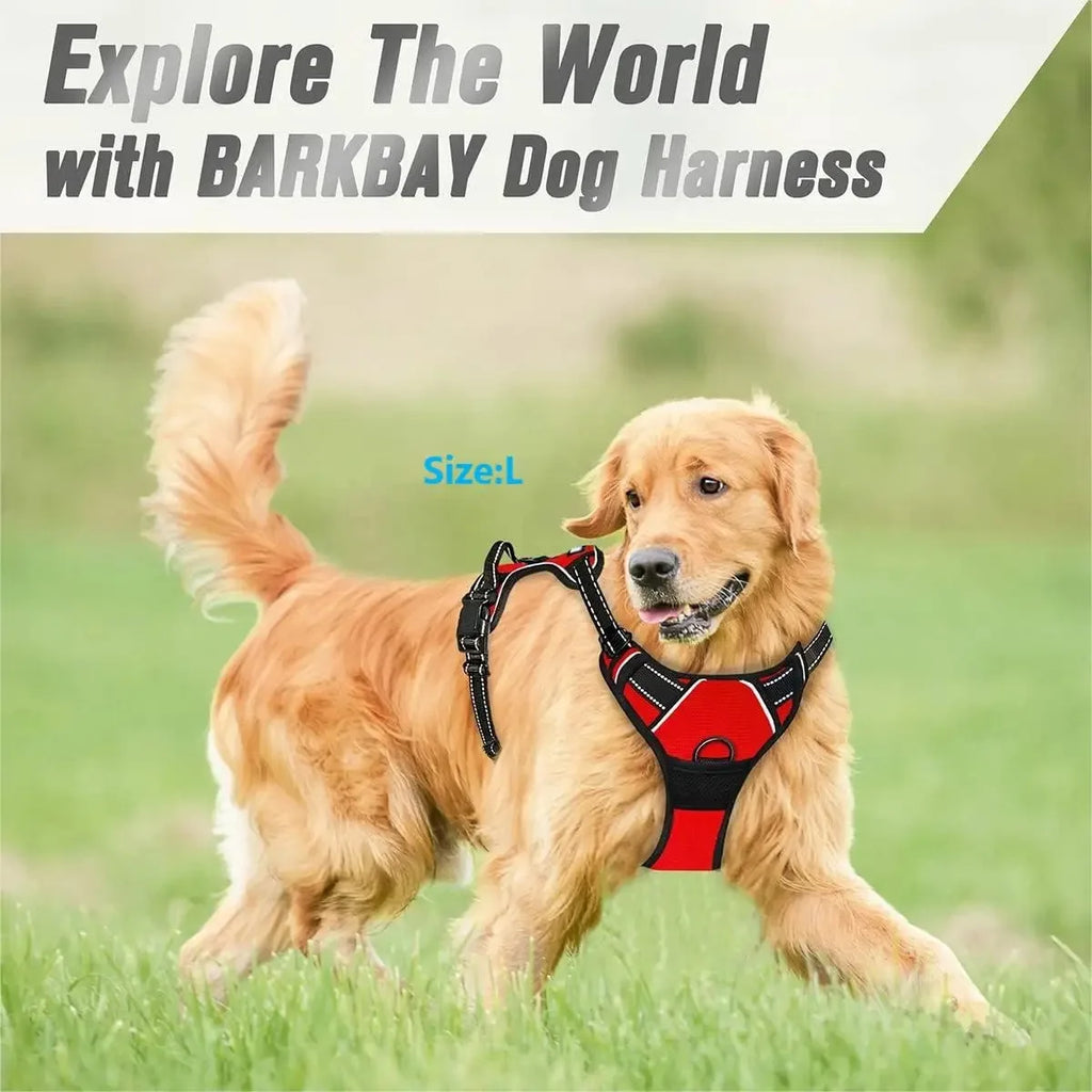 Leather-Look Collar, Harness & Lead Set
