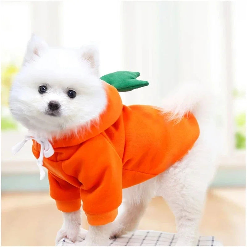 Fruit Fleece Dog Hoodie