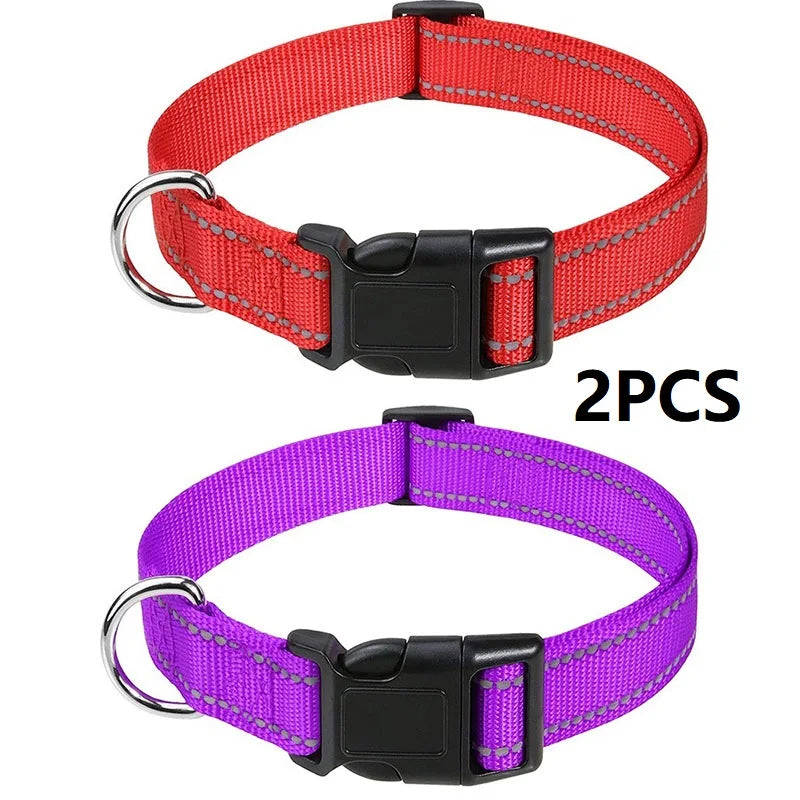 Decorative Small Dog Collar