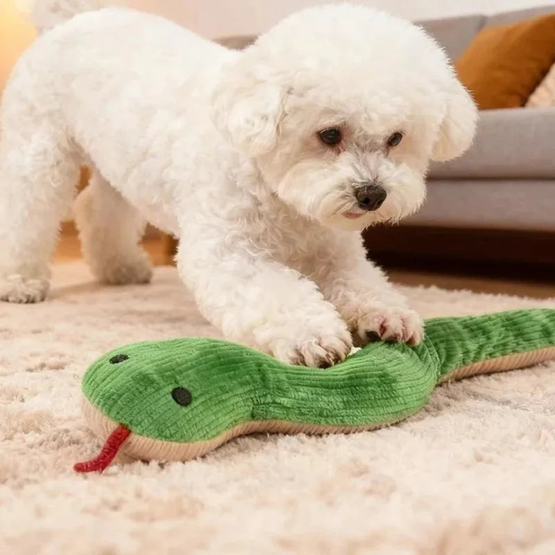 Wriggly Snake Kick Toy