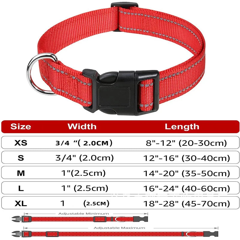 Decorative Small Dog Collar