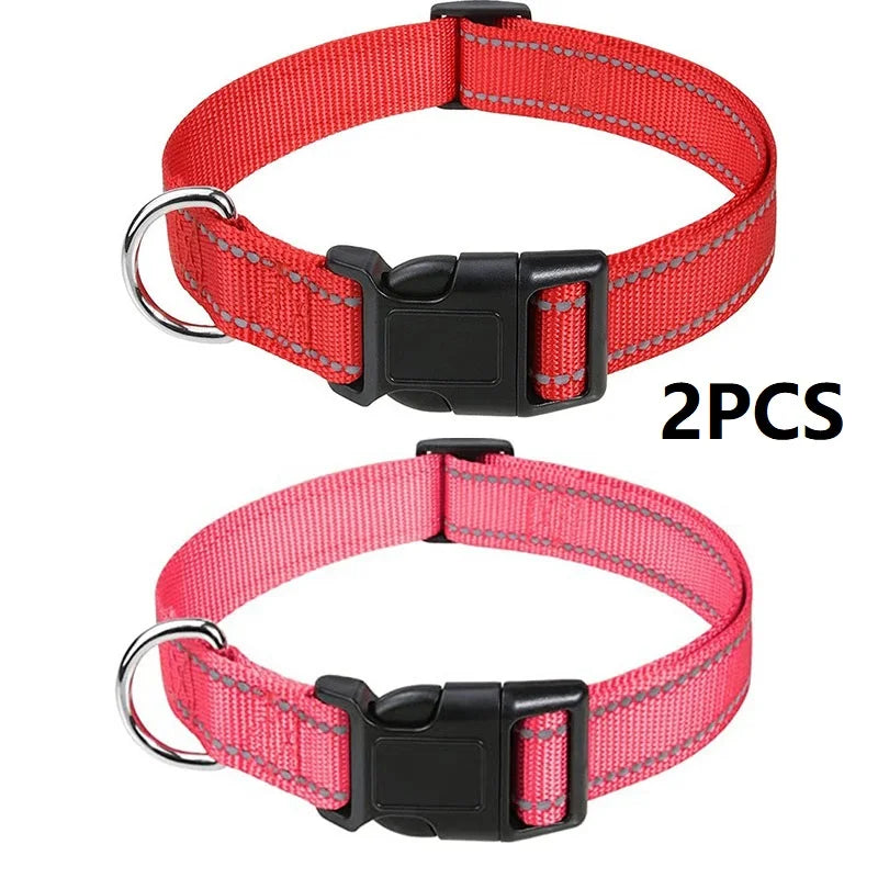 Decorative Small Dog Collar