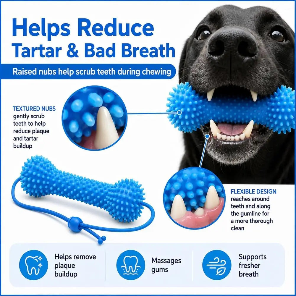 Double-Ended Rubber Chew Toy