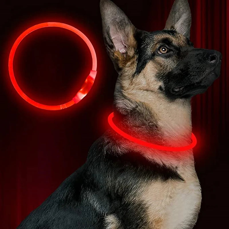 USB Rechargeable LED Collar