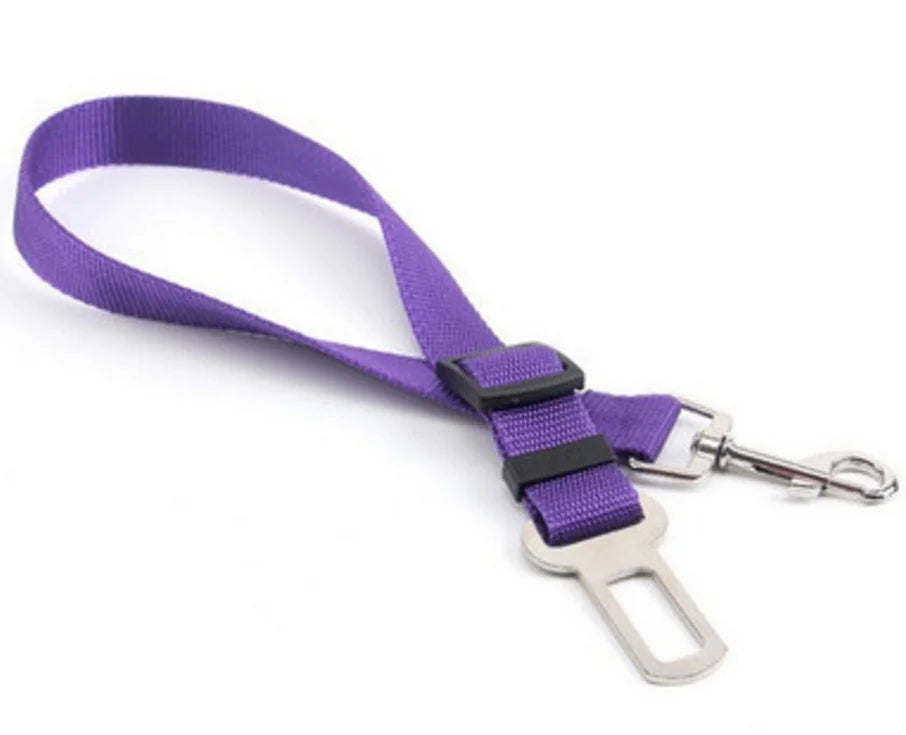 Car Seat Belt Lead with Clip