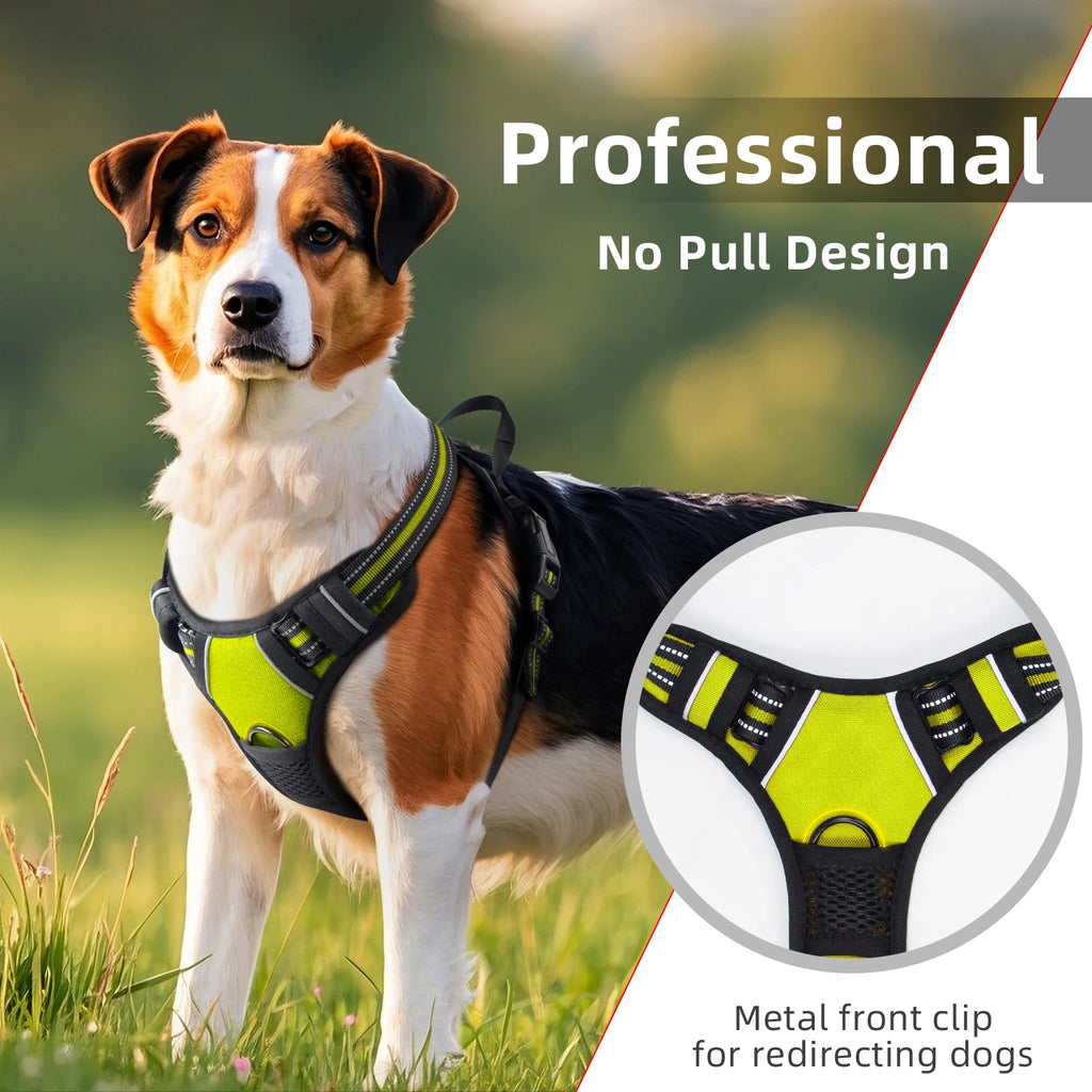 Adjustable Harness with Handle