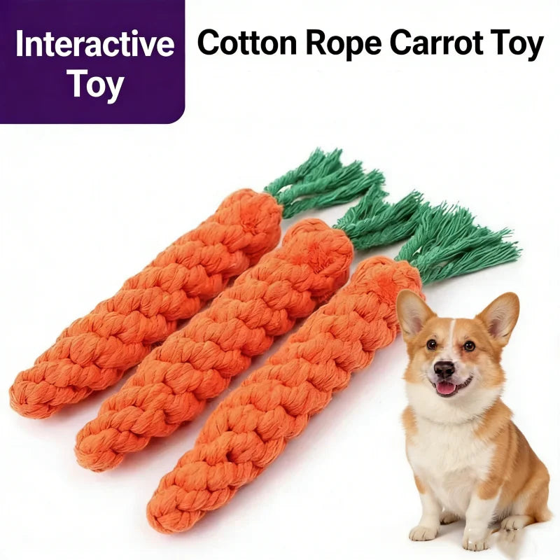 Braided Carrot Rope Chew