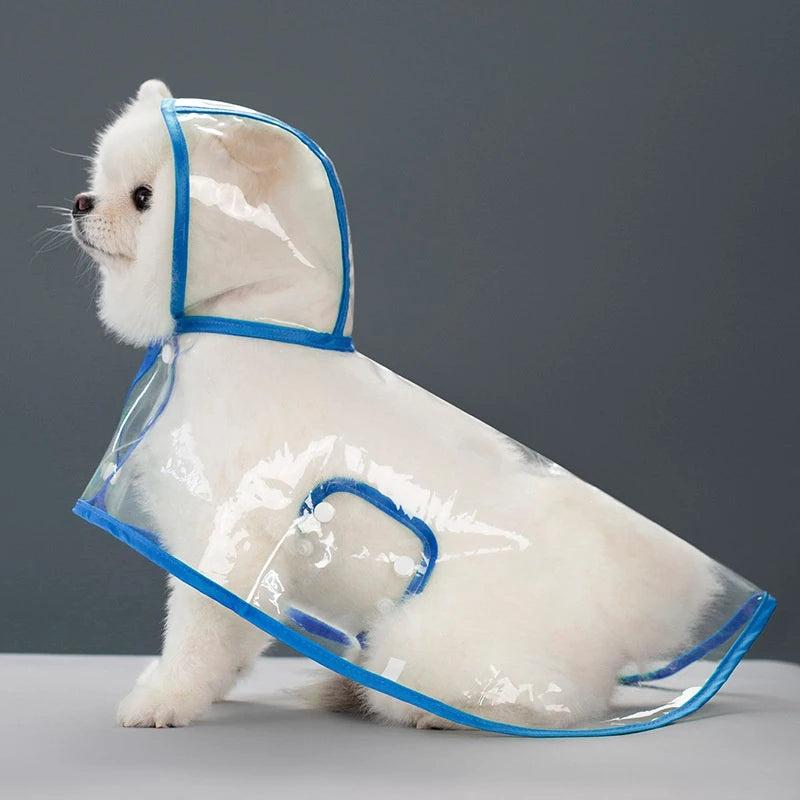 Clear Hooded Raincoat