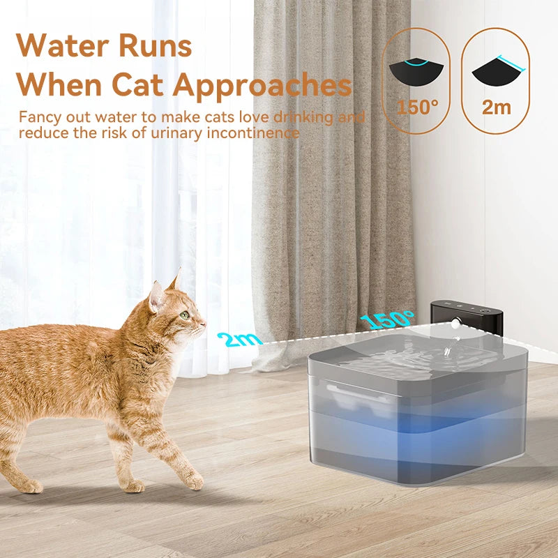 Cordless Sensor Water Fountain