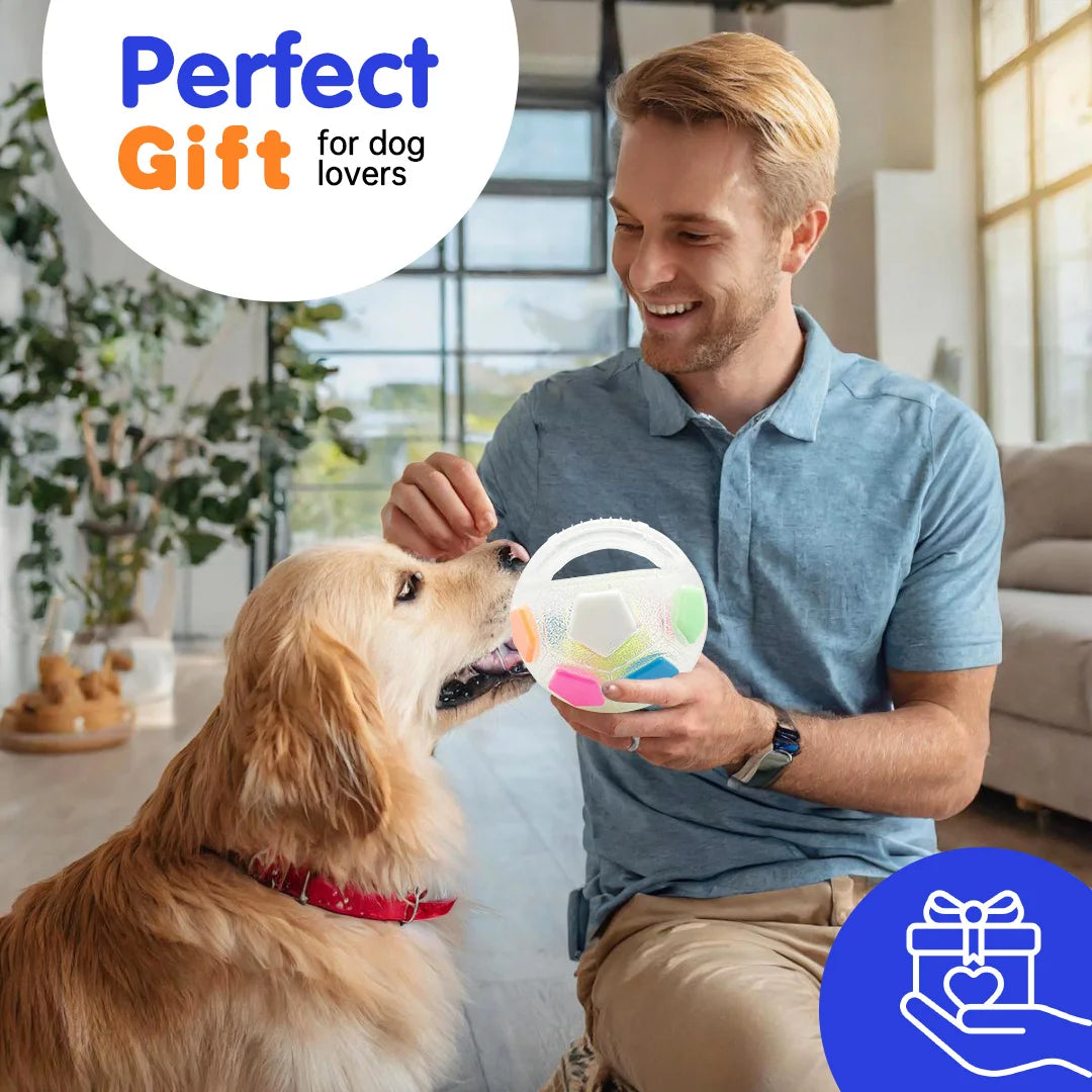 Football Squeaky Fetch Ball
