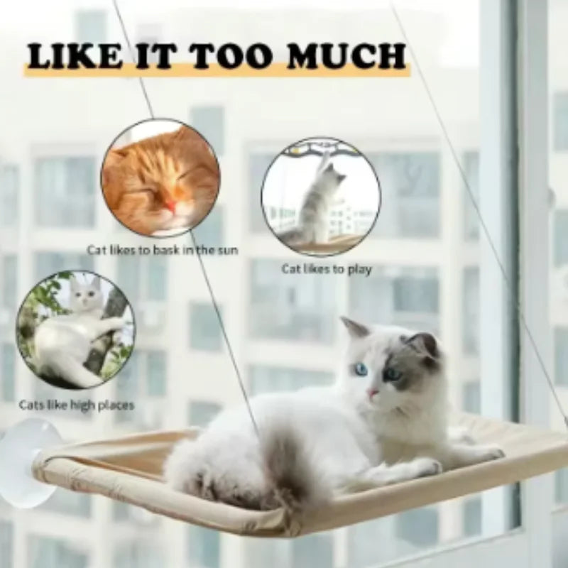 Sunny Window Hammock for Cats