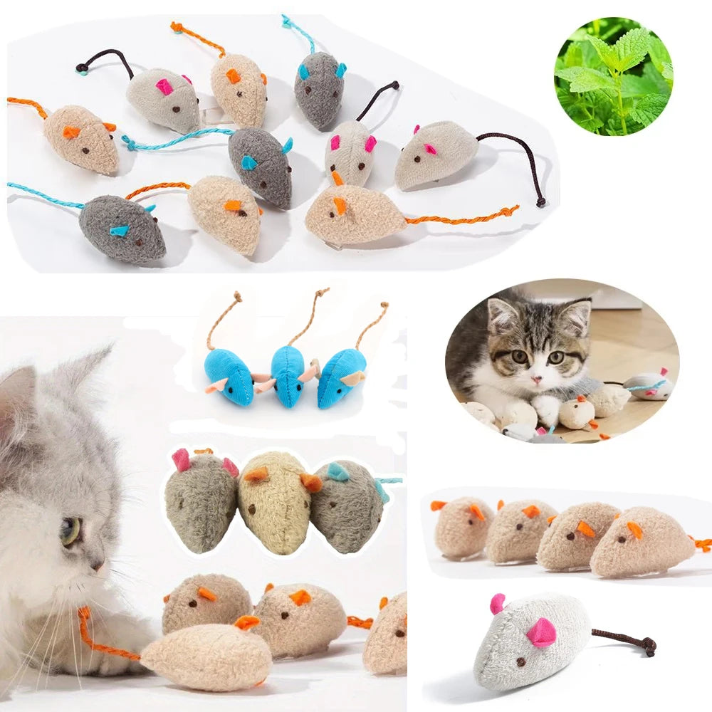 Rattle Mice with Catnip