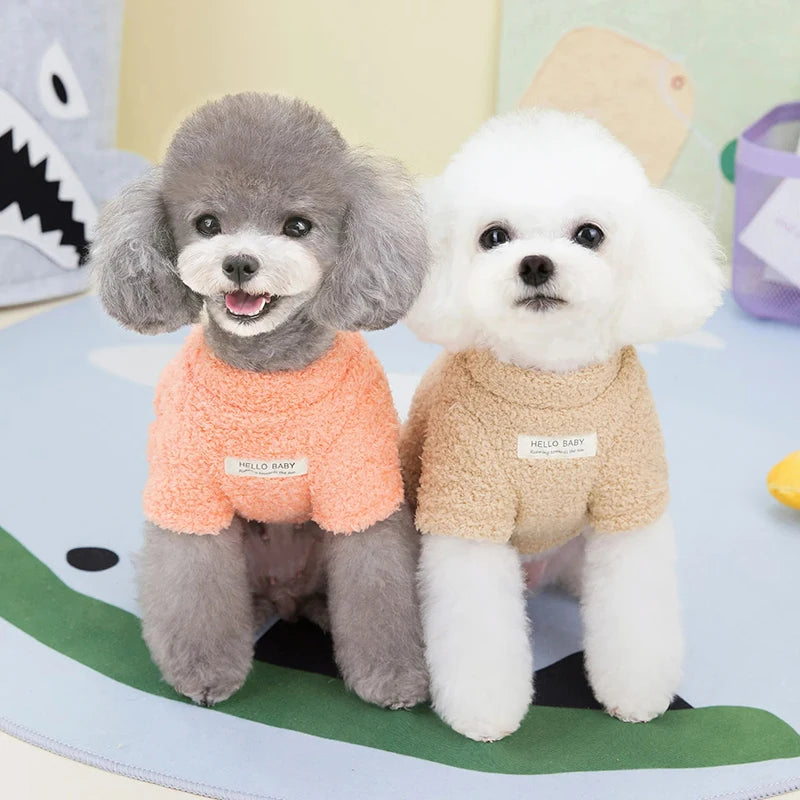 Plush Teddy Jumper