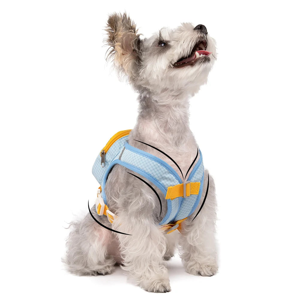 Mini Backpack Harness & Lead
