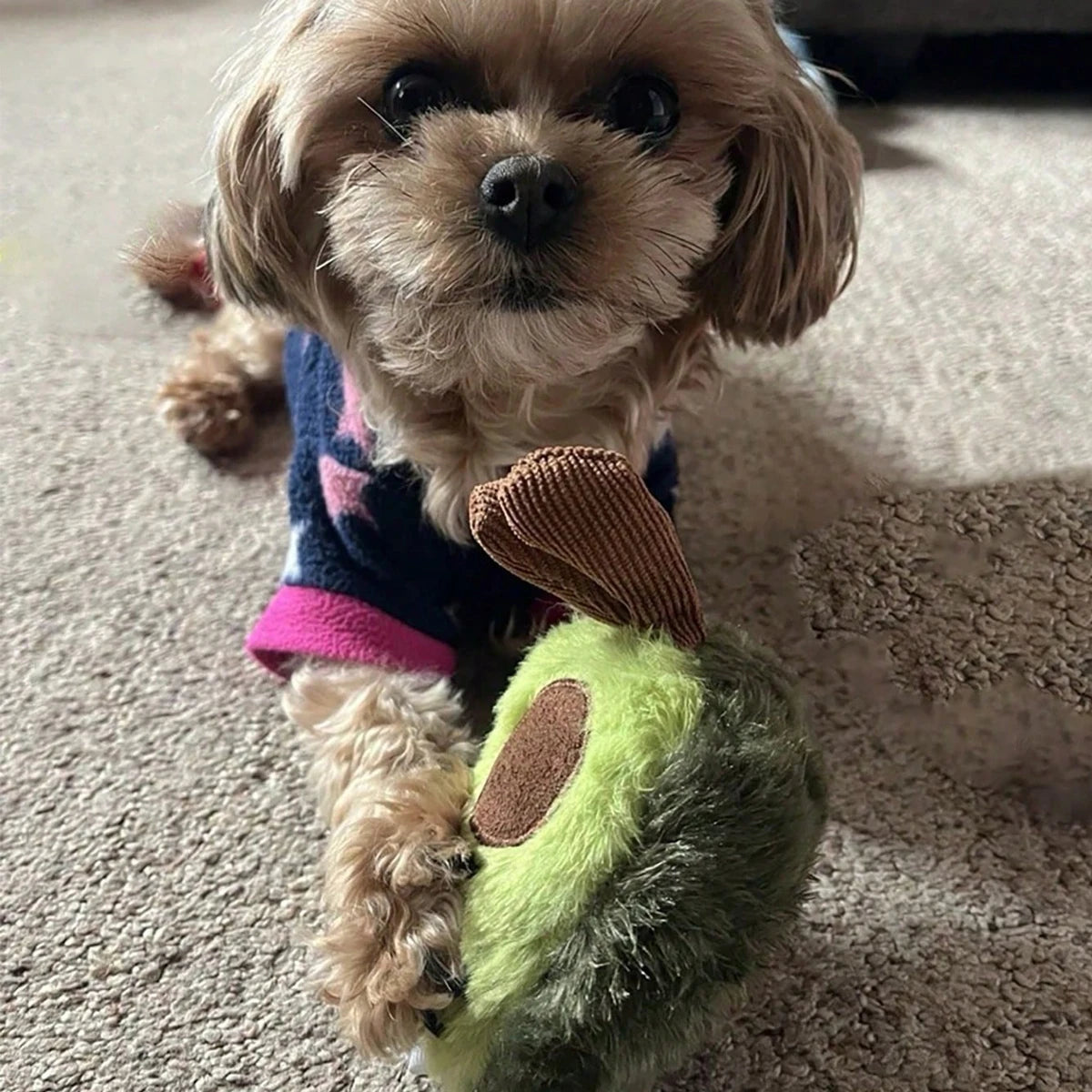 Avocado Squeaky Plush Toy