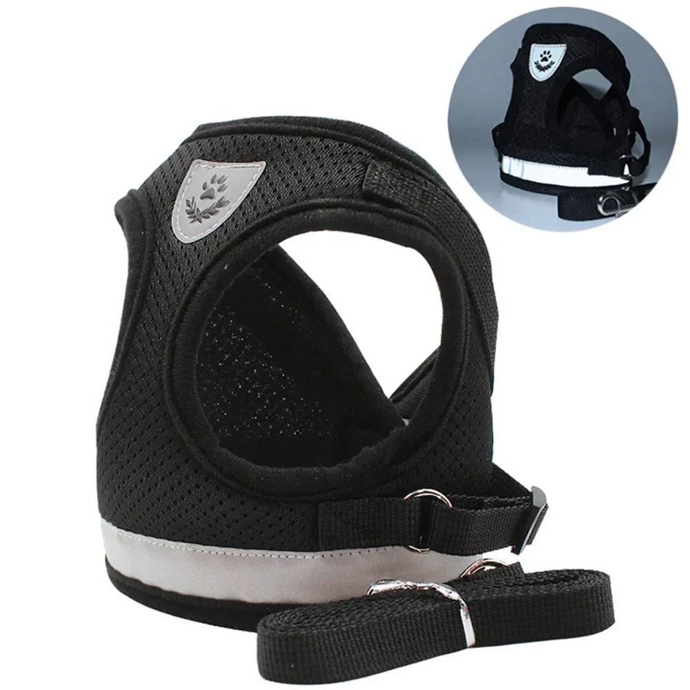 Cat Mesh Harness & Lead Set