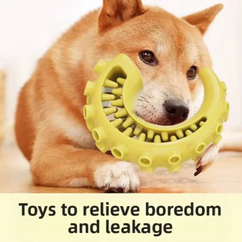 Treat-Dispensing Chew Stick