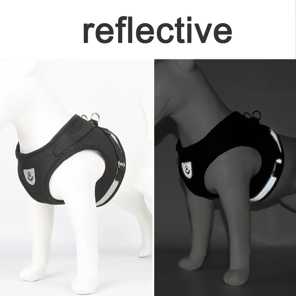 Cat Mesh Harness & Lead Set