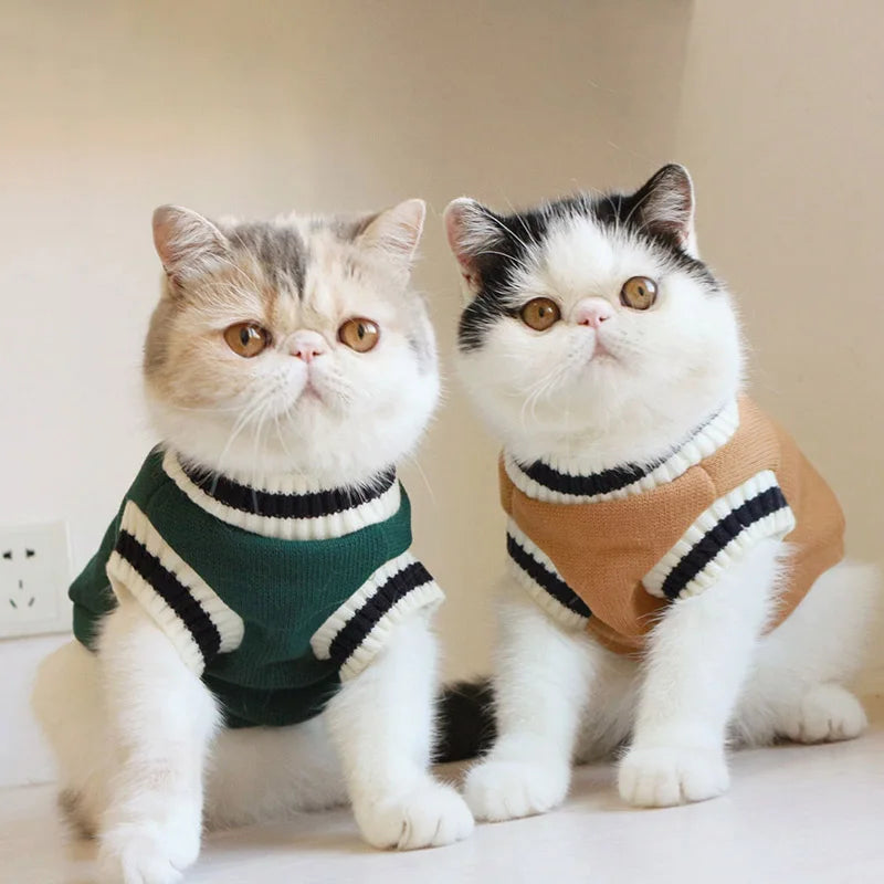 Cosy Knit Pullover