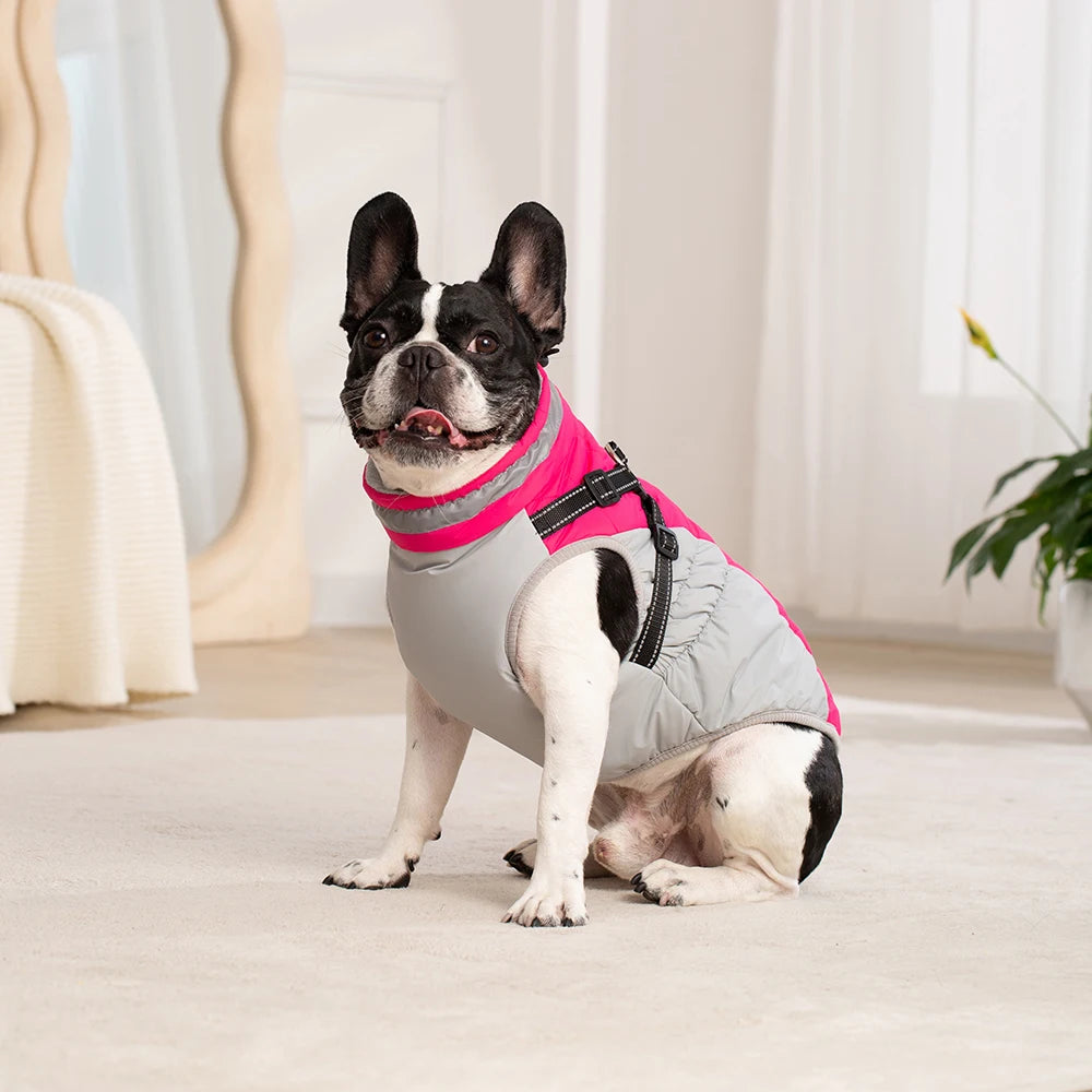 Winter Jacket with Built-In Harness